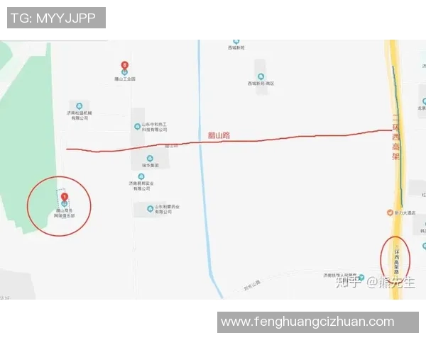 重庆网球队的整体压制分析及其在网球界的影响力探讨